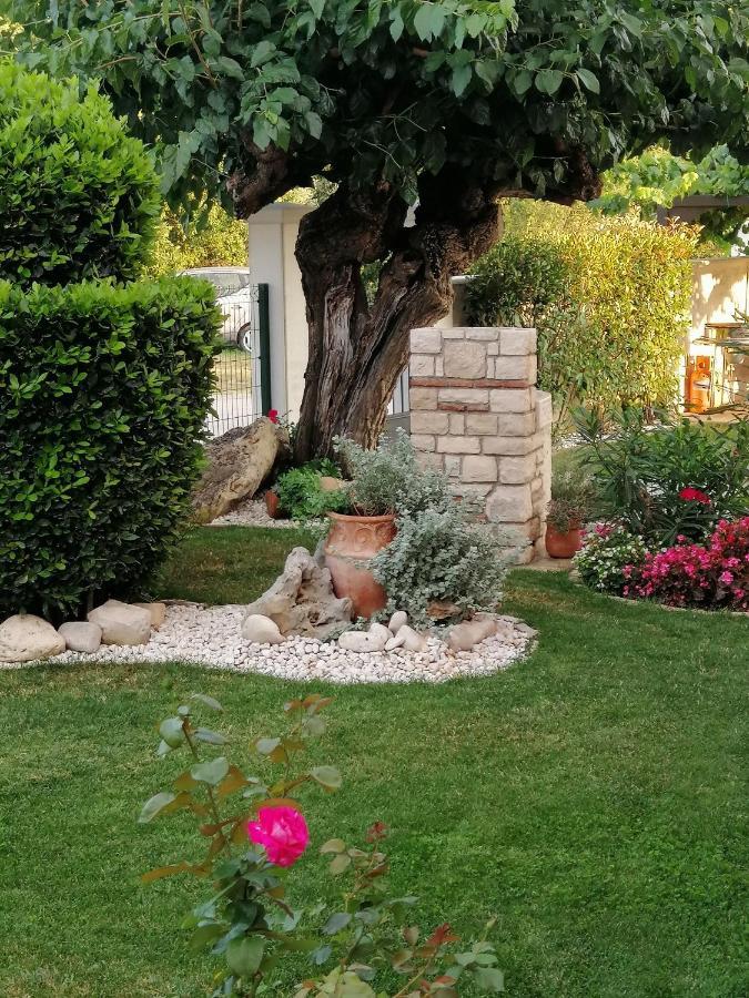 Villa Roza Ουμάγκ Εξωτερικό φωτογραφία