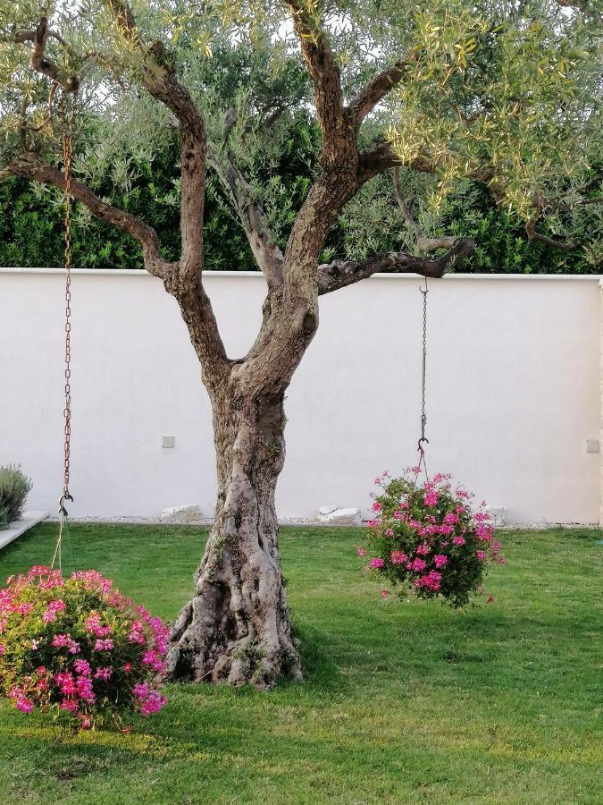 Villa Roza Ουμάγκ Εξωτερικό φωτογραφία