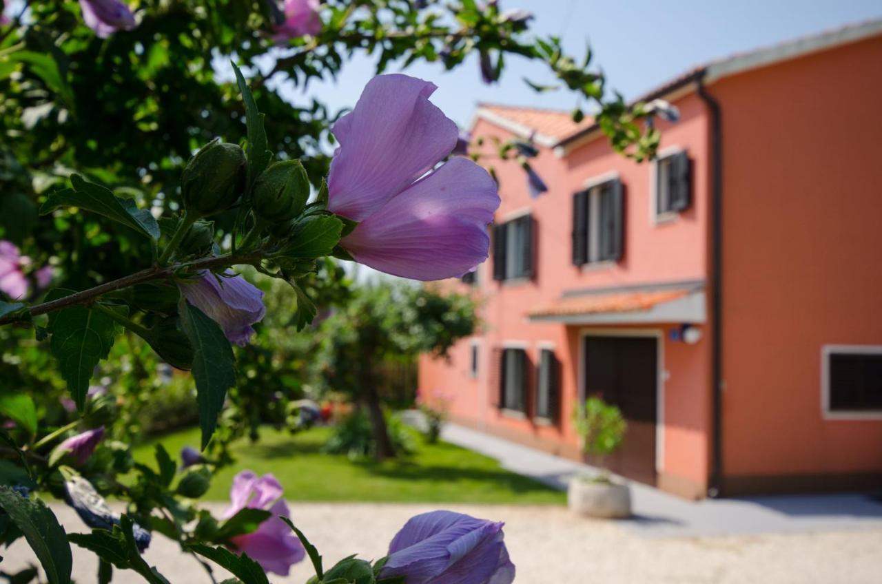 Villa Roza Ουμάγκ Εξωτερικό φωτογραφία